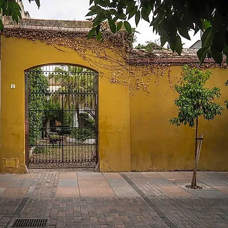 Palacio De Angulo Casa Historica En El Centro De 호텔 코르도바