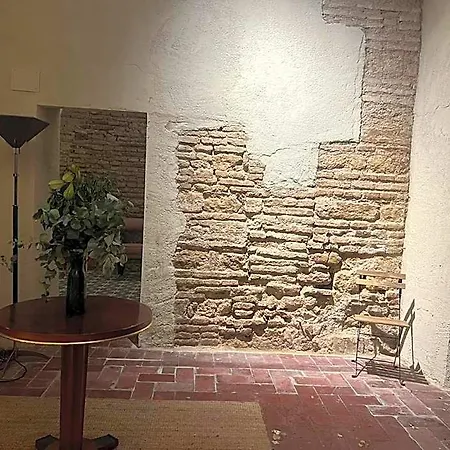 Palacio De Angulo Casa Historica En El Centro De 호텔 코르도바