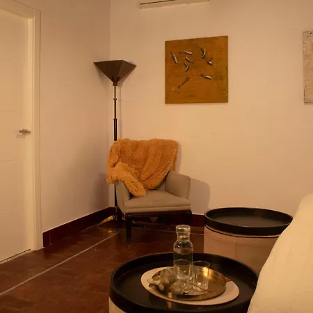 Palacio De Angulo Casa Histórica En El Centro De * Córdoba